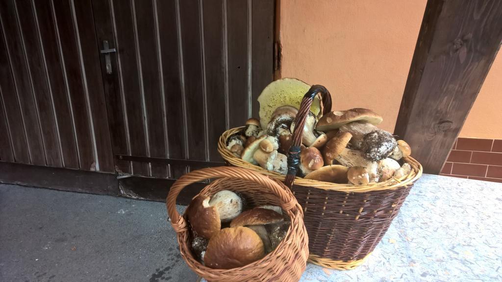 Penzion Jizerka Jablonec nad Nisou Eksteriør billede